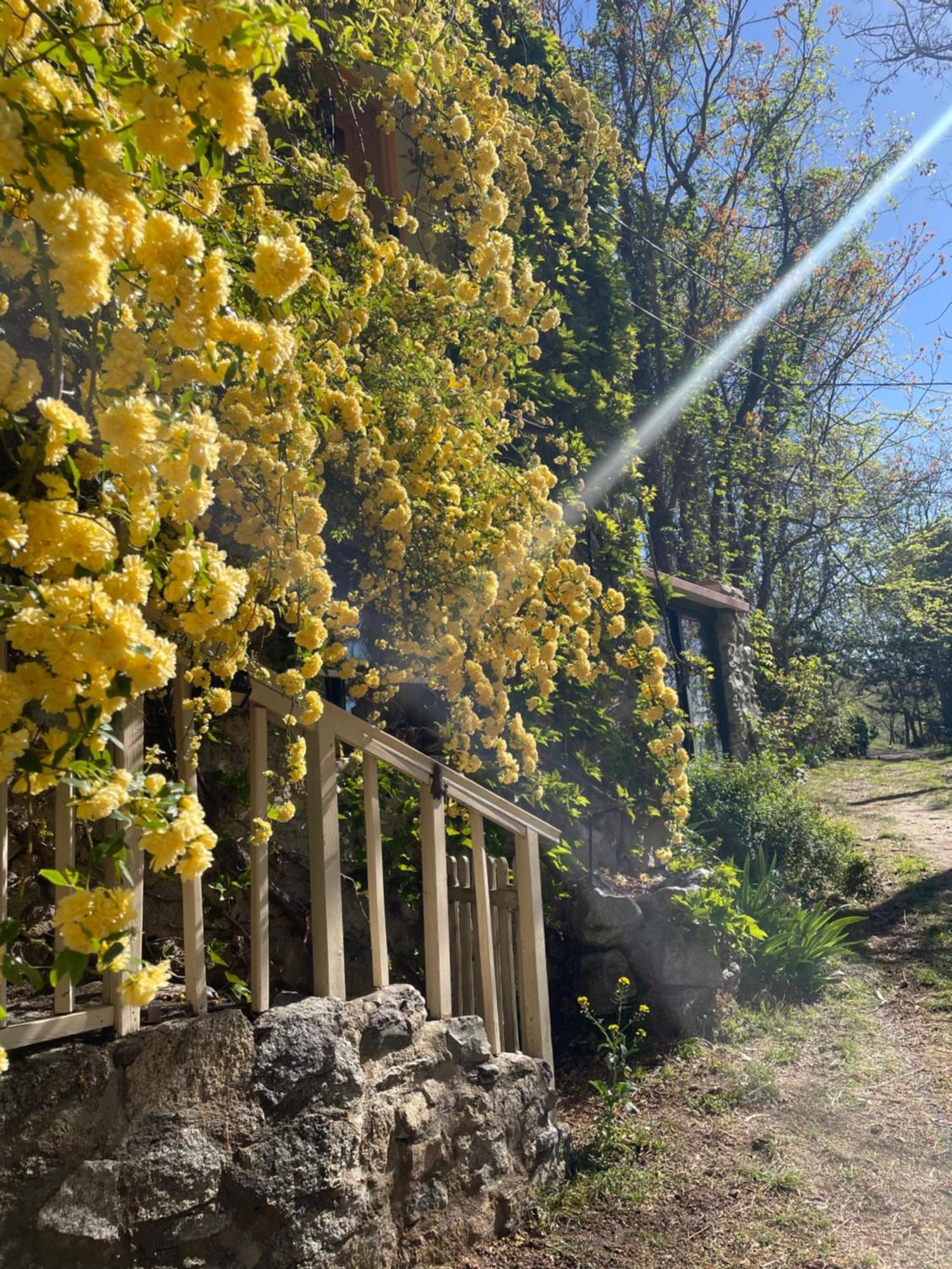 Domaine St Georges Villa Mosset Екстериор снимка