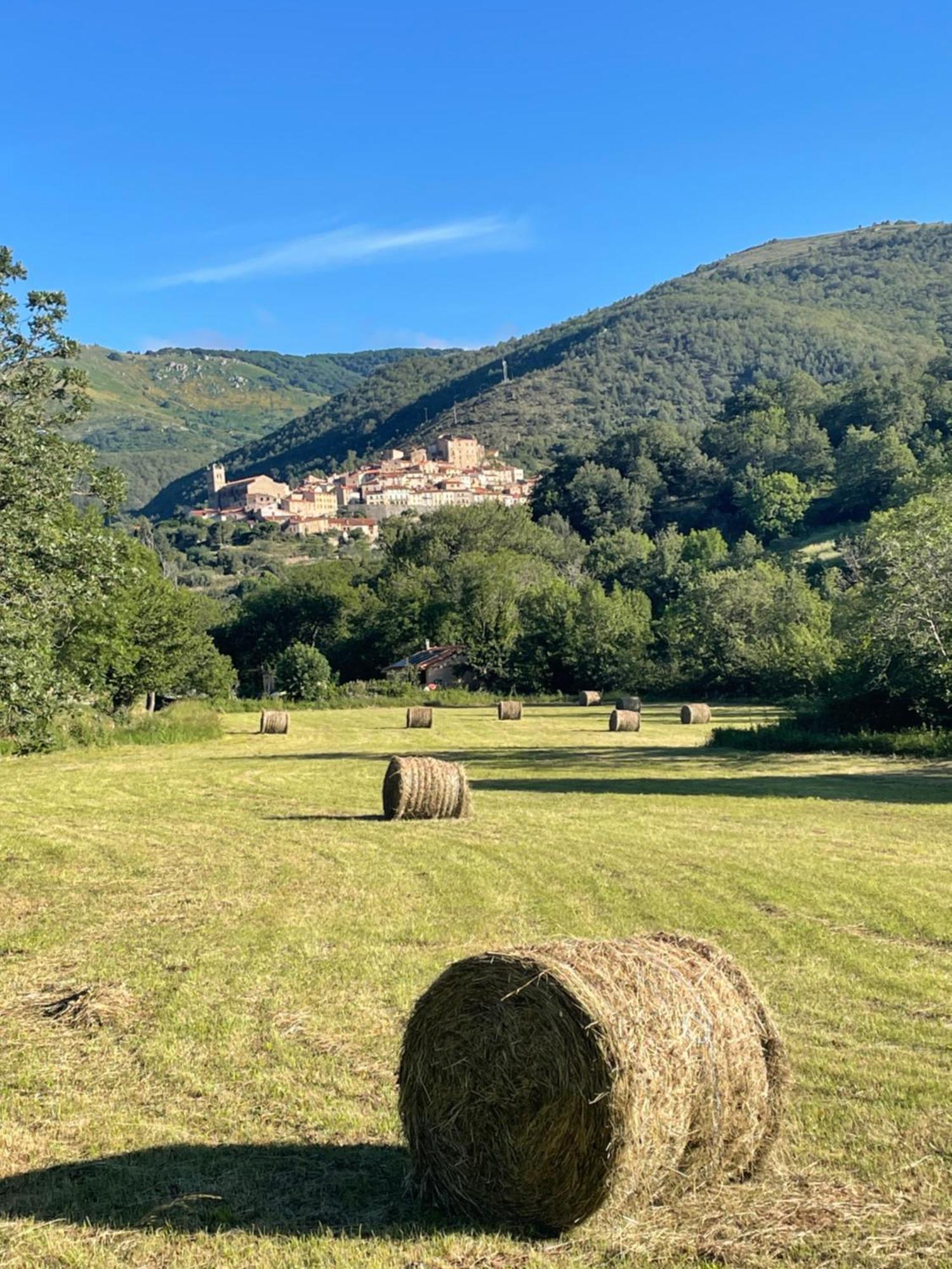 Domaine St Georges Villa Mosset Екстериор снимка